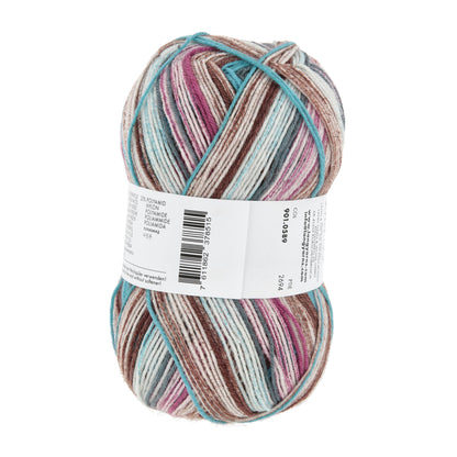 901_0589_LANGYARNS_SuperSoxxColor4Ply_4_Print.jpg