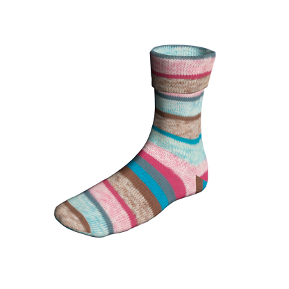 901_0589_LANGYARNS_SuperSoxxColor4Ply_C_Print.png