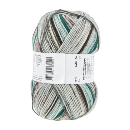 901_0591_LANGYARNS_SuperSoxxColor4Ply_4_Print.jpg
