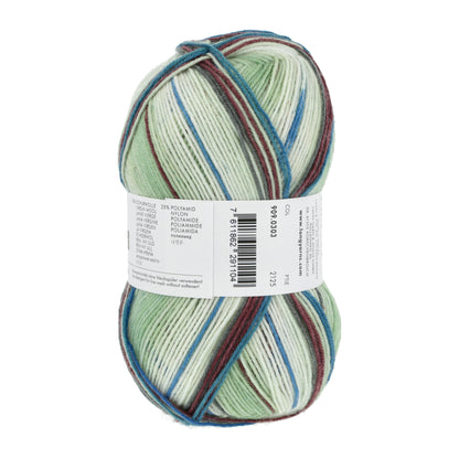 909_0303_LANGYARNS_TwinSoxx4Ply_4_Print.jpg
