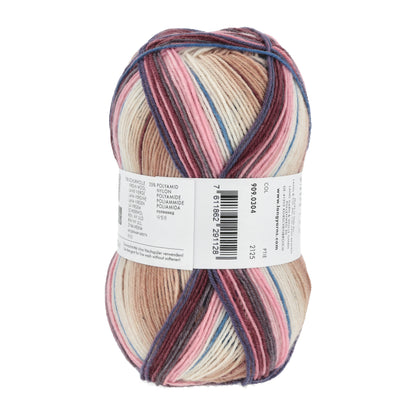909_0304_LANGYARNS_TwinSoxx4Ply_4_Print.jpg