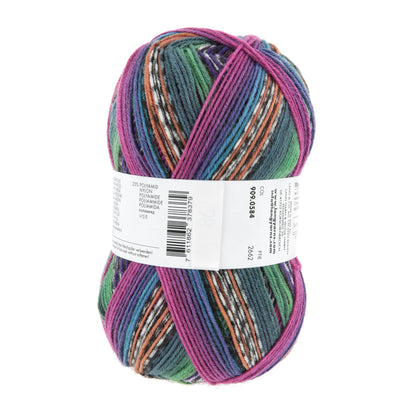 909_0584_LANGYARNS_TwinSoxx4Ply_4_Print.jpg