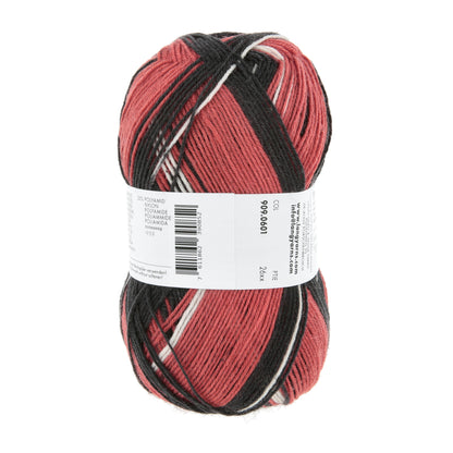 909_0601_LANGYARNS_TwinSoxx4Ply_4_Print.jpg