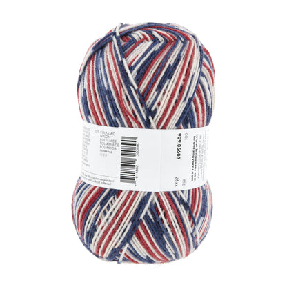 909_0603_LANGYARNS_TwinSoxx4Ply_4_Print.jpg