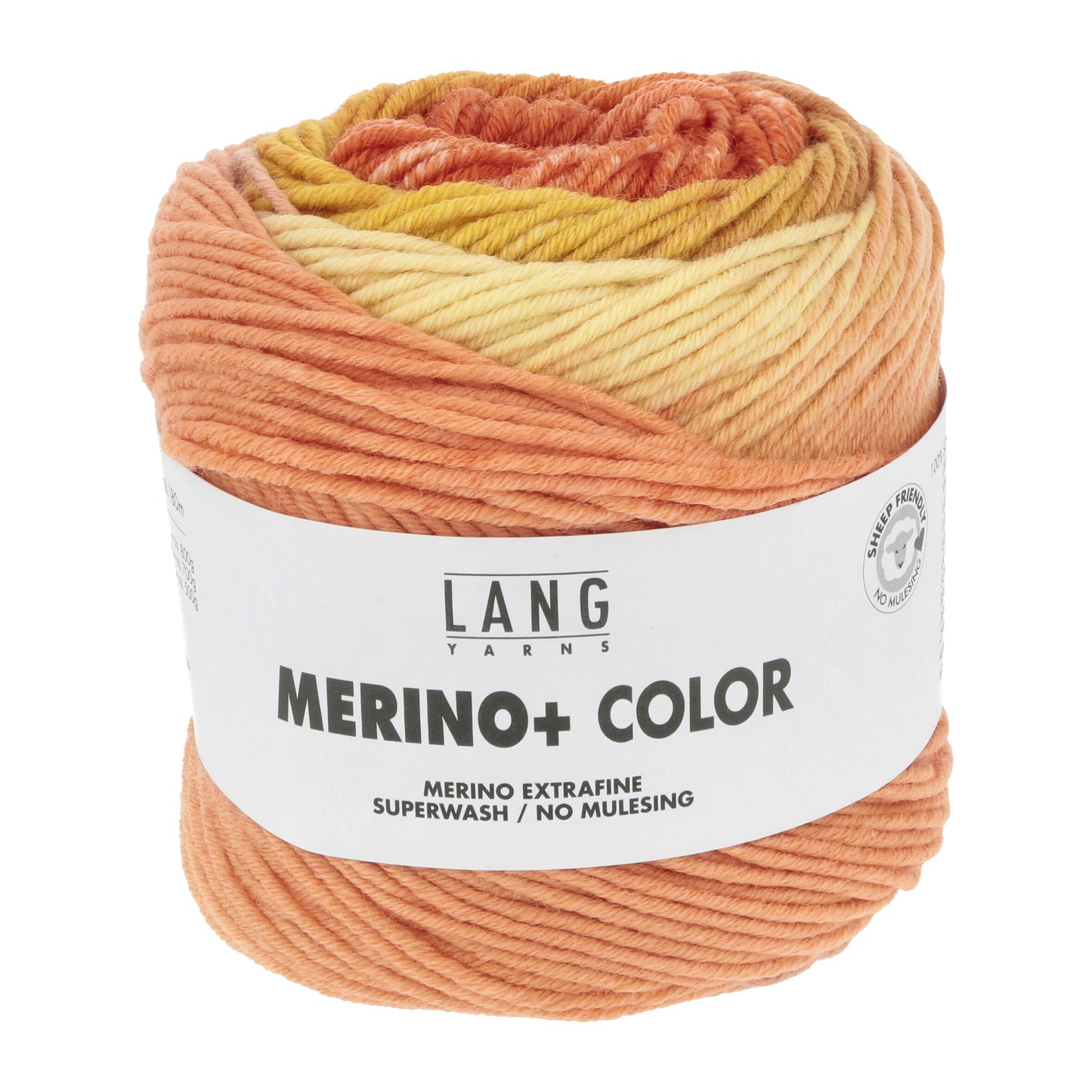 Merino+ Wool in Vibrant Colors