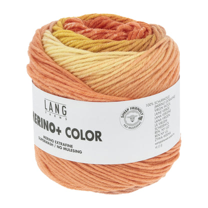 Merino+ Wool in Vibrant Colors