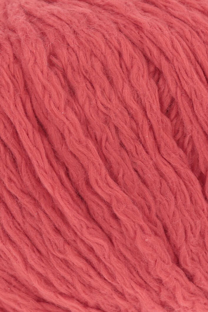 Exquisite 'Amira' Style for the Discerning Fashionista