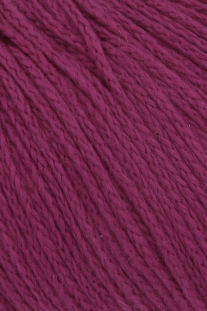 Norma - couleur 66
